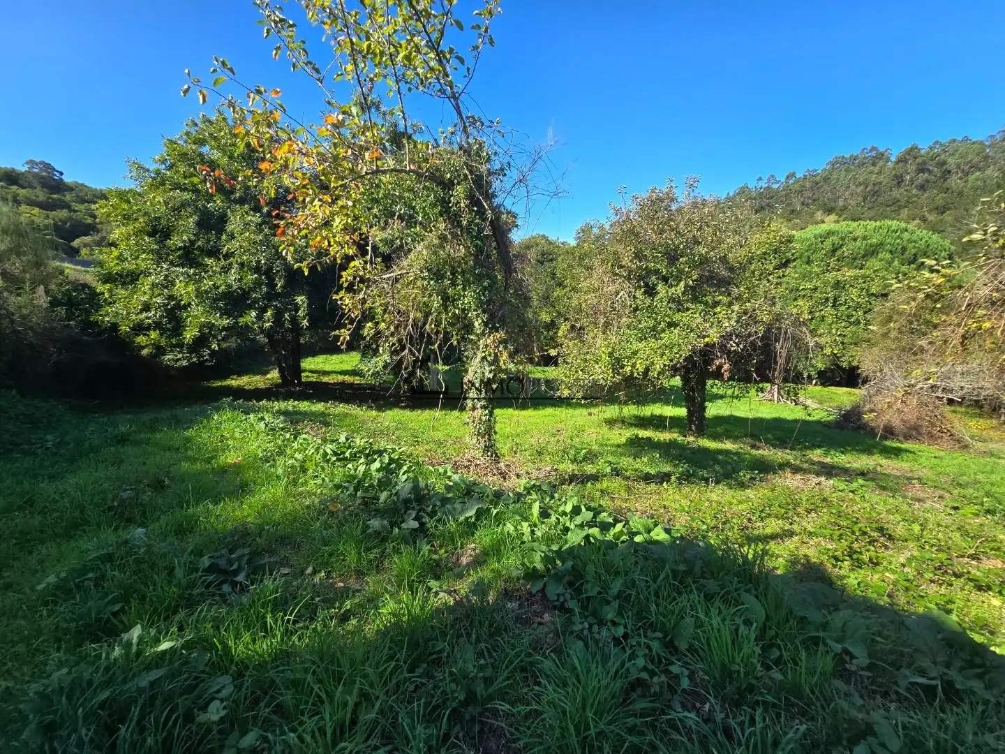 Casa o xalet en venda en Cerdedo amb Jardí privat