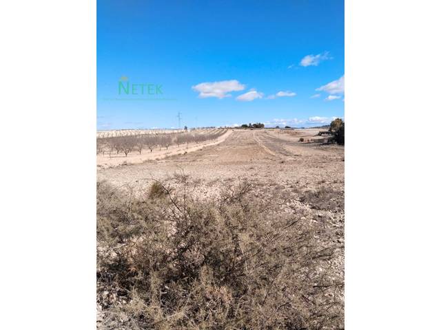 Terreno residencial en Venta en N/A en El Pinós / Pinoso