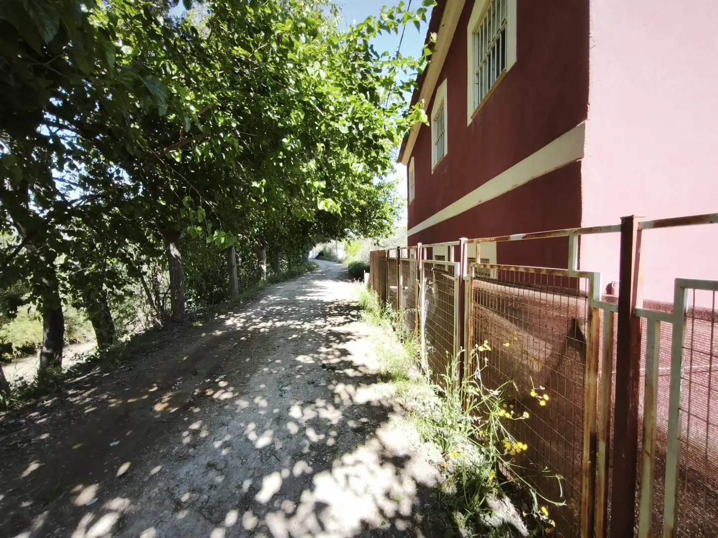 Exterior view of Houses for sale in Molina de Segura
