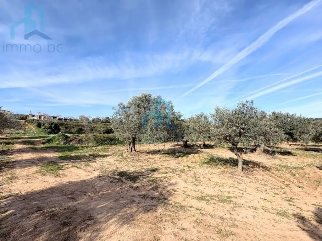 Finca rústica en venta en Gandesa