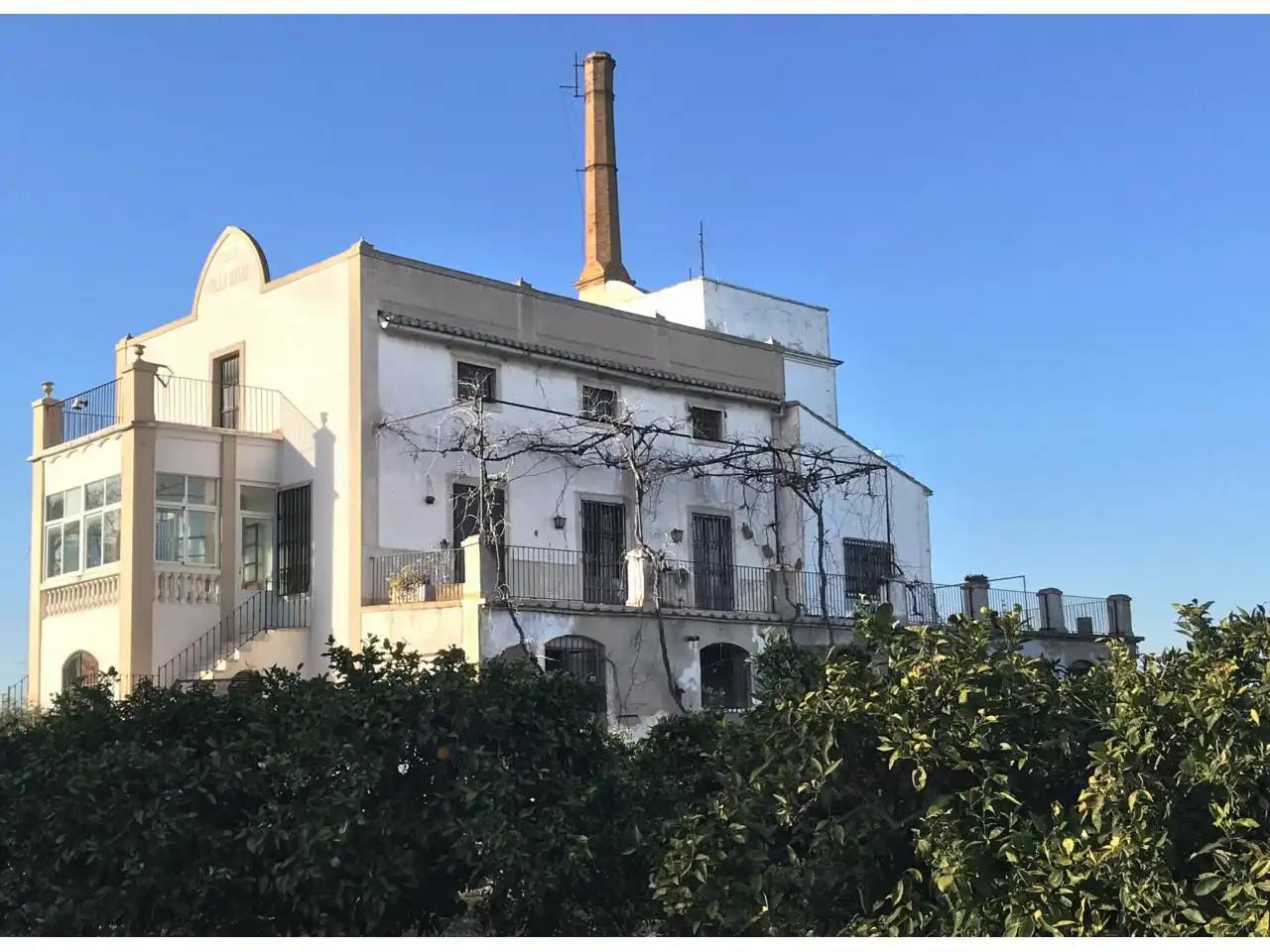 House with garden for sale in Via Pista