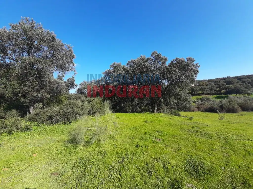 Casa en venta en Millanes, imagen 4