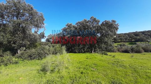 Finca con encinas, cerrada con paredes de piedra y situada a 250 m del municipio de Millanes Cáceres, image 4