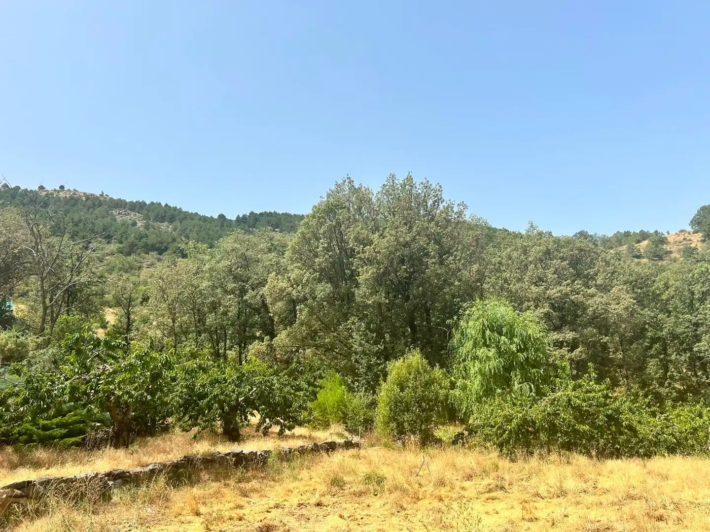 Casa amb jardí en venda a Güéjar Sierra, imagen 31