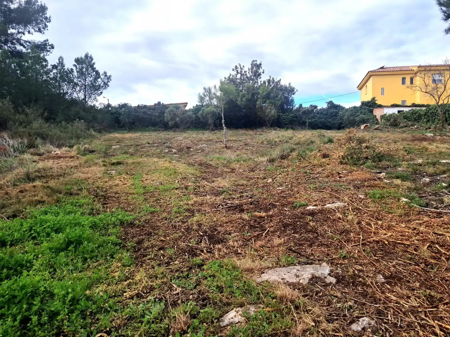 Terrenos y solares en venta en Calle El Pedregal