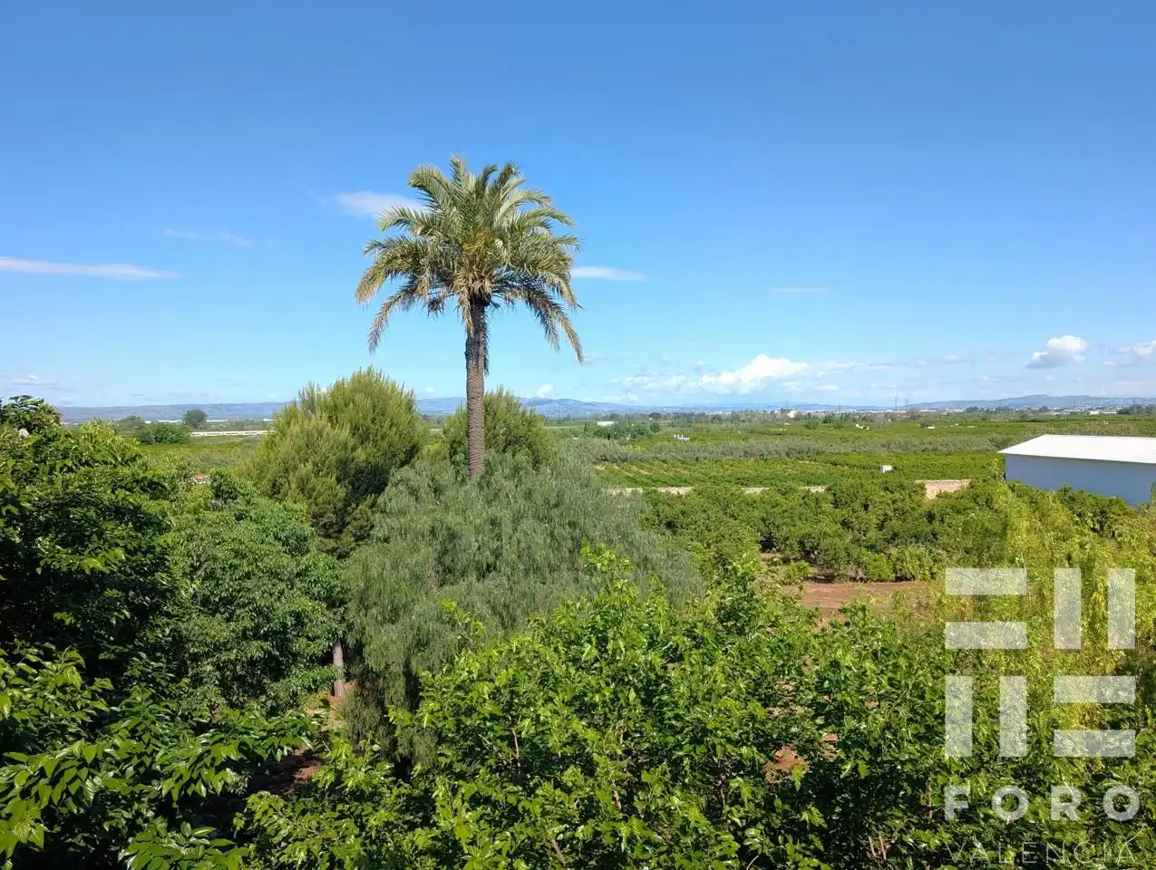 Jardín de Finca rústica en venta en Alzira con Jardín privado, Balcón y Internet