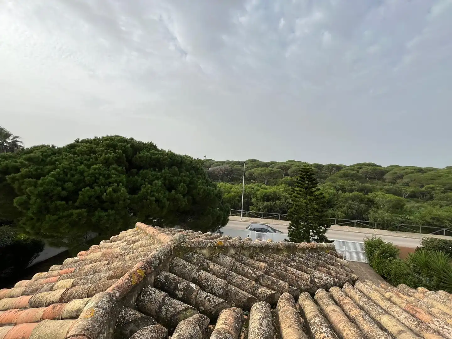 Exterior view of Houses for sale in Chiclana de la Frontera