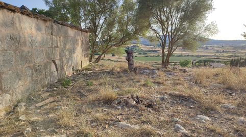 Finca con fantásticas vistas para construir vivienda unifamiliar, immagine 5