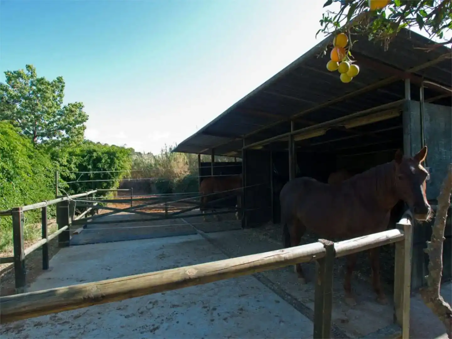Vista exterior de Finca rústica en venta en Estepona