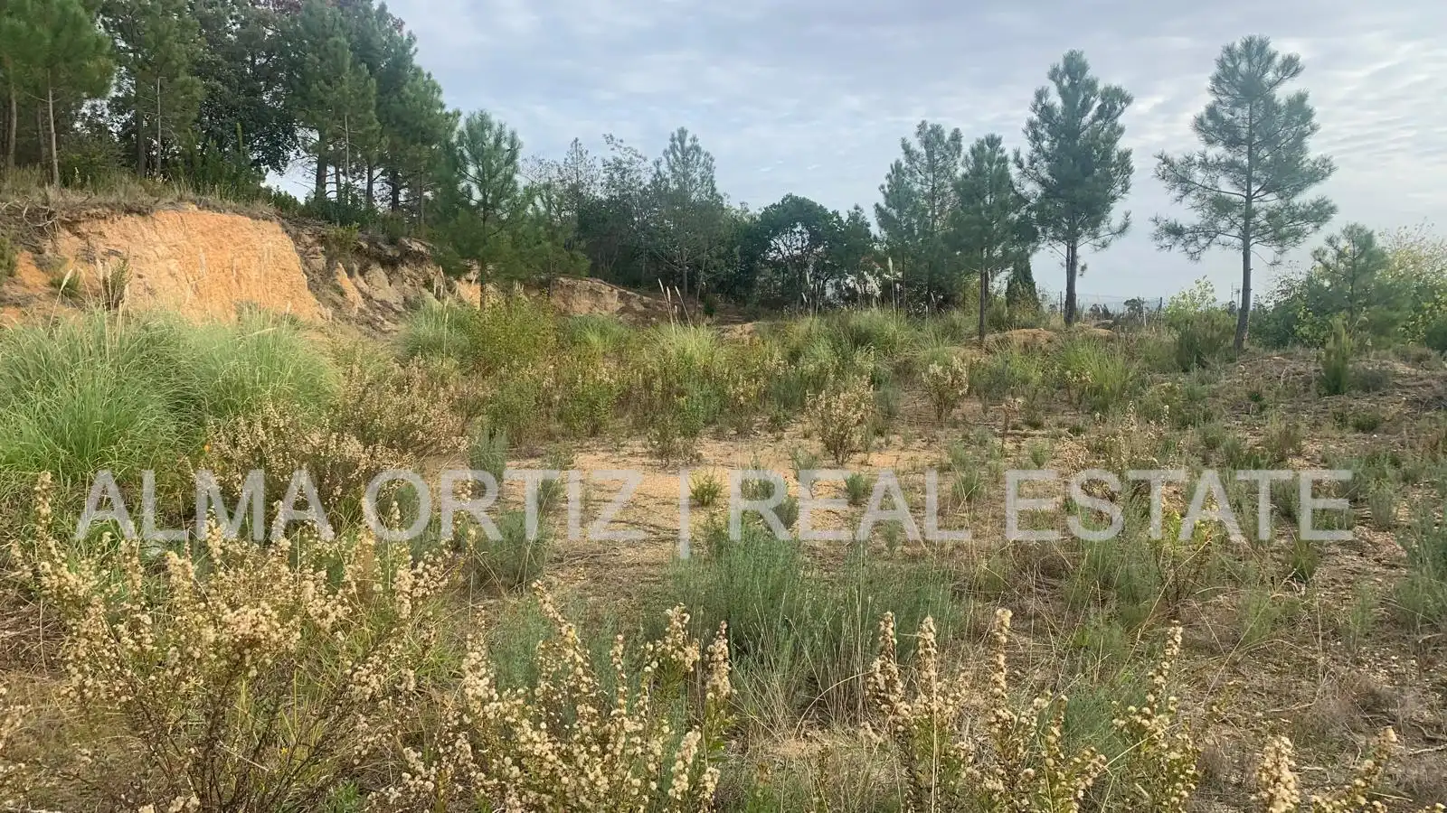Terreny residencial en venda a Calle Sauce 25, imagen 8