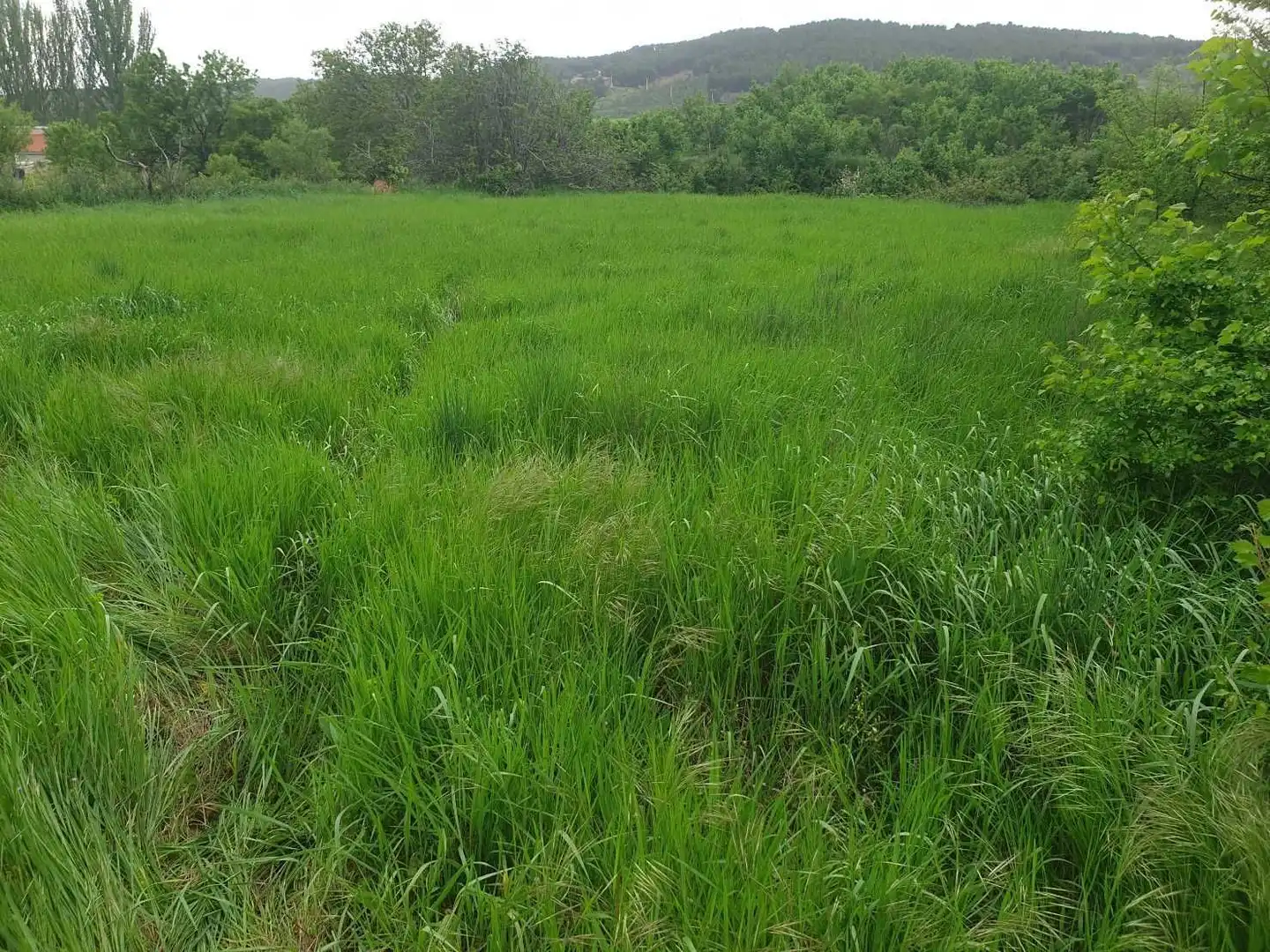Terreno en venta en Munébrega