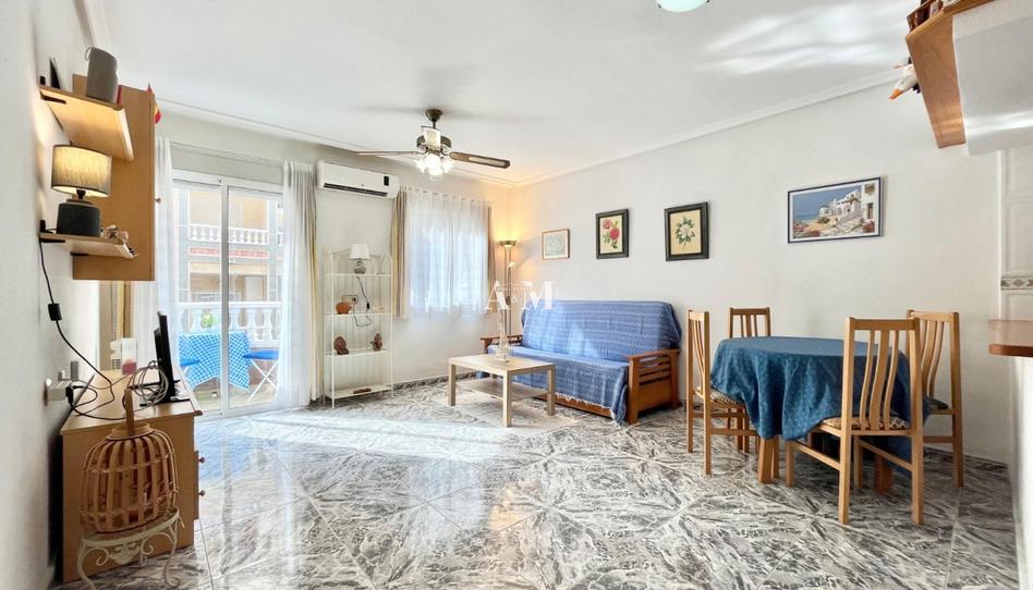 Photo 1 of Flat to rent in Avenida Habaneras - Curva de Palangre, Alicante