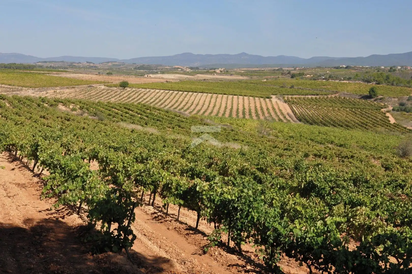 Country homes for sale in Montferri  with Private garden