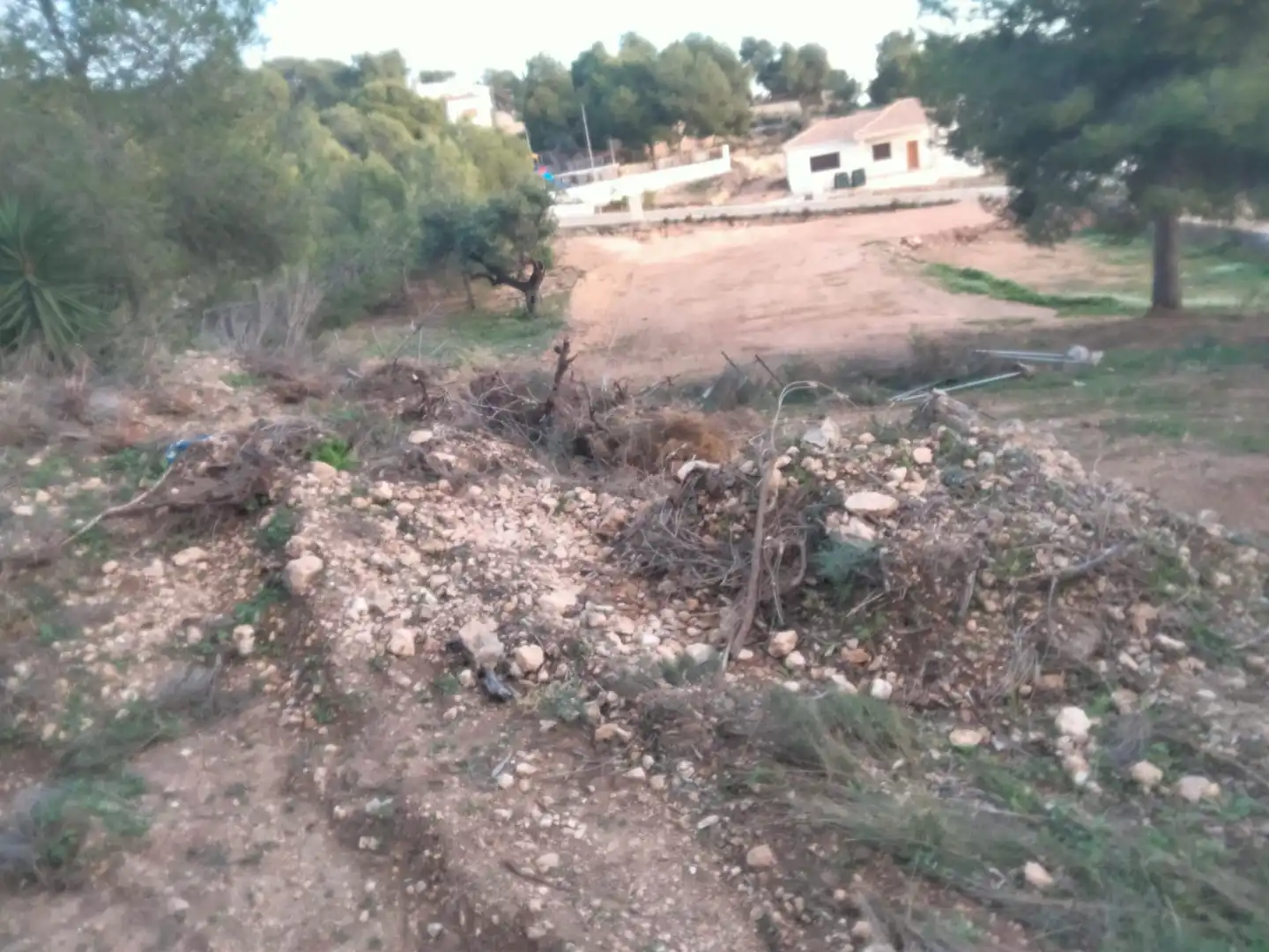 Terreno residencial en venta en Casinos, imagen 4