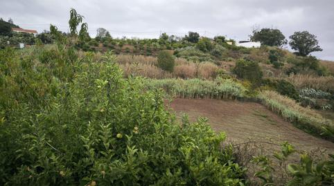 Foto 5 de Casa o chalet en venta en Moya (Las Palmas), Las Palmas