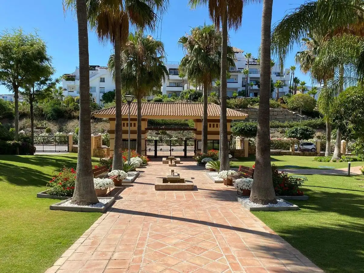 Apartamento con piscina en venta en Urbanización Lomas del Conde Luque 712, imagen 14