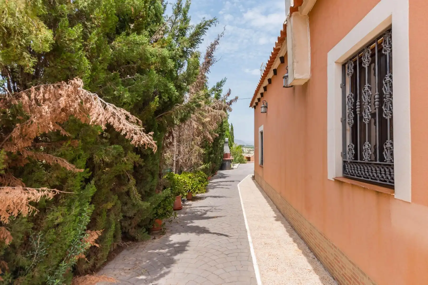 Vista exterior de Finca rústica en venta en Fortuna con Calefacción, Jardín privado y Terraza