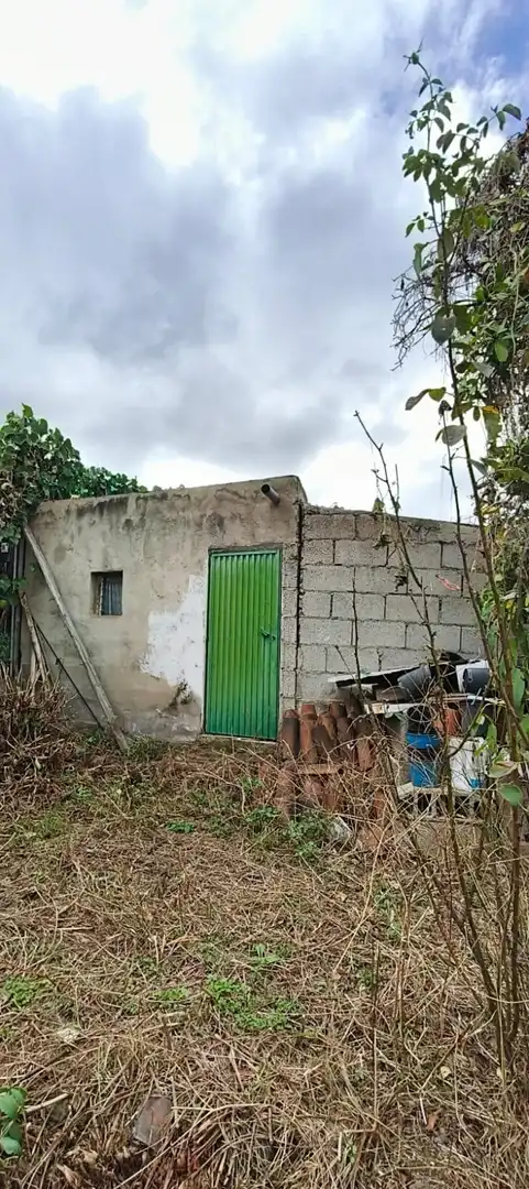 Finca rústica en venta en Camino REVENTON EL, La Vega - El Amparo - Cueva del Viento