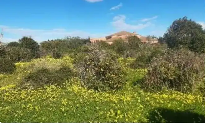 Terreno rustico in vendita a Avinguda País Valencià 87