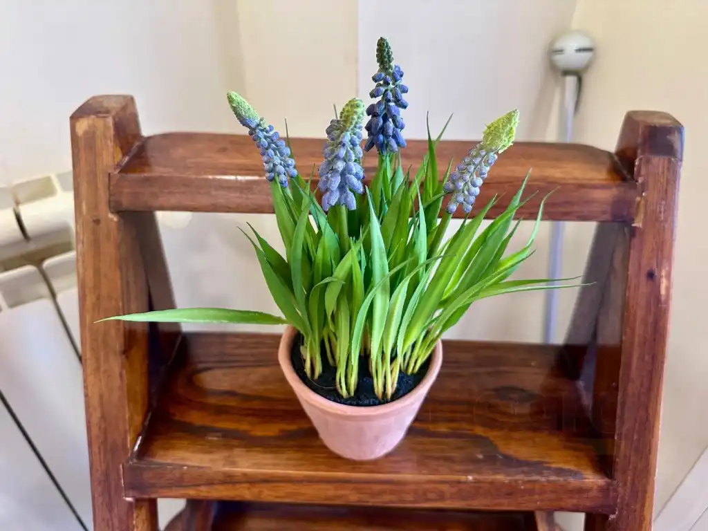 Jardín de Piso en venta en Las Rozas de Madrid