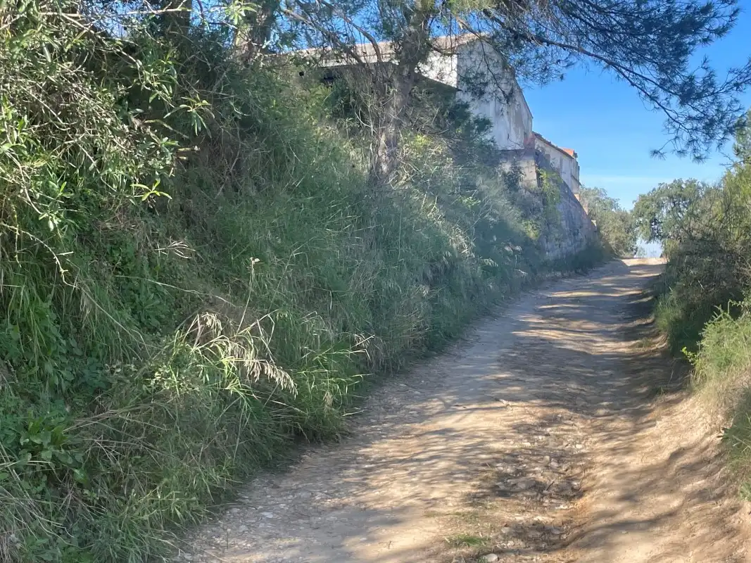 Vista exterior de Casa o chalet en venta en Otos con Jardín privado y Piscina