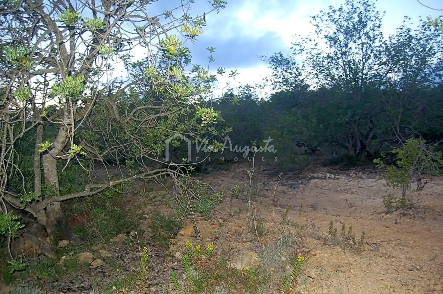 Terreno rustico in vendita a Suis, imagen 10
