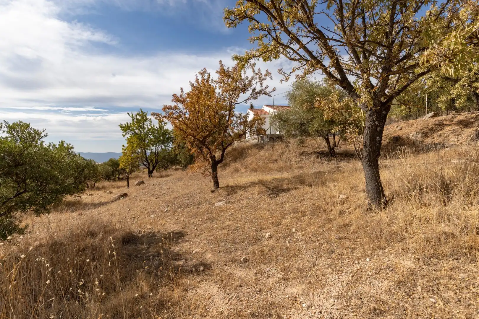 Finca rústica en venta en Cogollos de la Vega con Jardín privado y Piscina