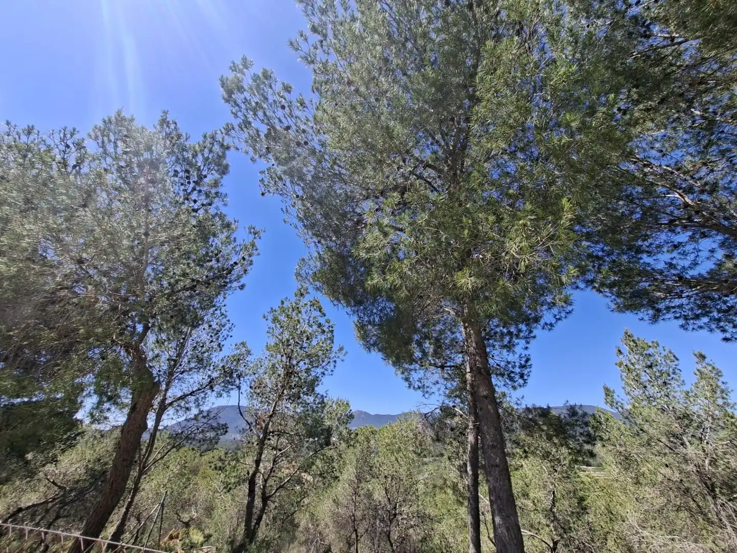 Casa o xalet en venda en Tibi amb Aire condicionat, Jardí privat i Terrassa