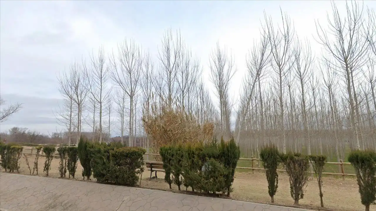 Casa pareada en venta en Real, imagen 6