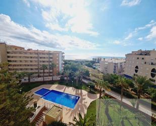 Swimming pool of Attic for sale in Torrevieja  with Terrace