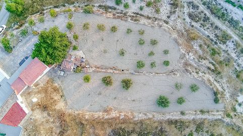 Foto 3 de Finca rústica en venta en Abanilla, Murcia
