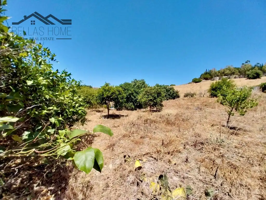 Finca rústica en venta en Estepona
