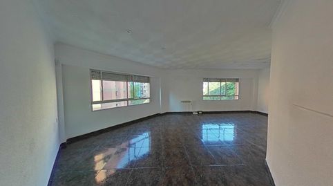JERONIMA GALES, imagen 2