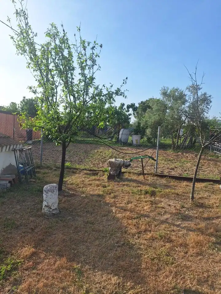 Terreni e lotti in vendita a Pedanías Norte, imagen 13
