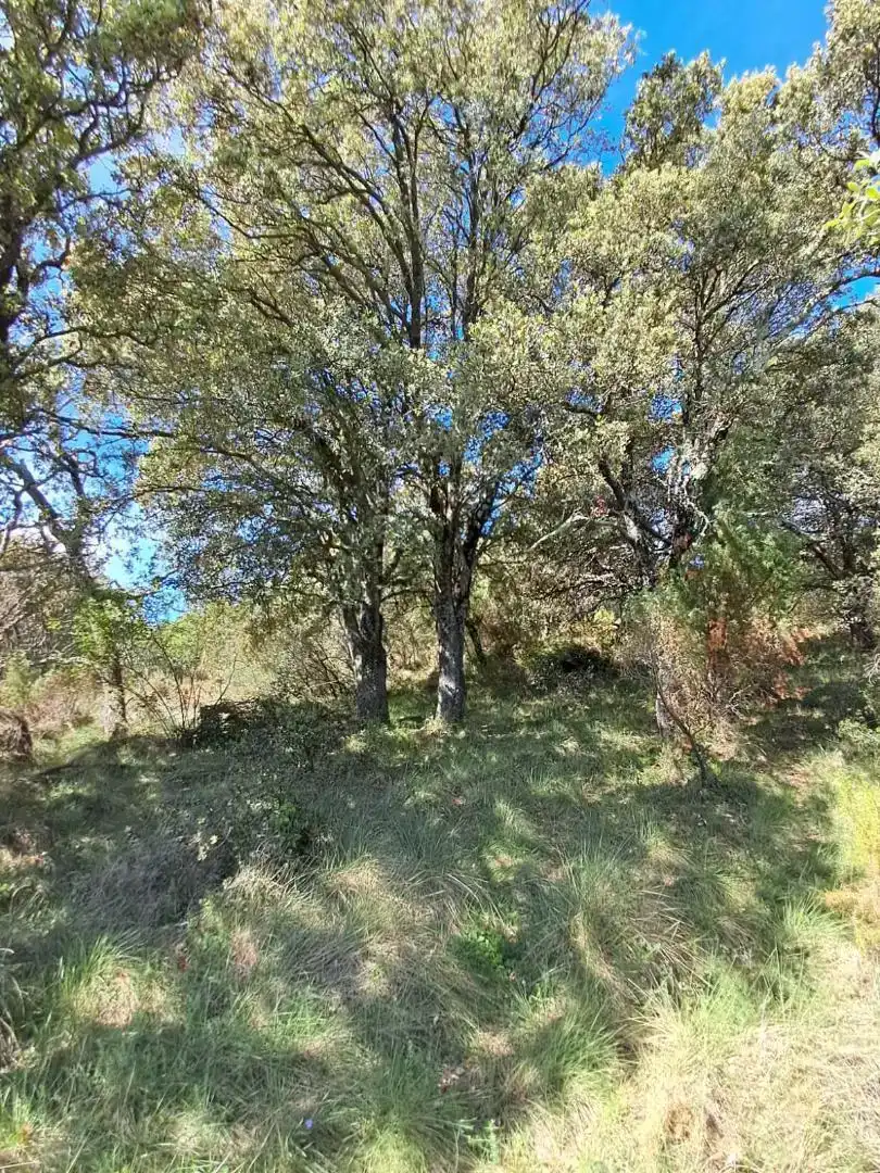 Grundstücke zum Verkauf in Culla