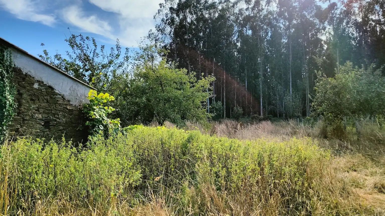 Casa o xalet en venda en O Pino  amb Jardí privat
