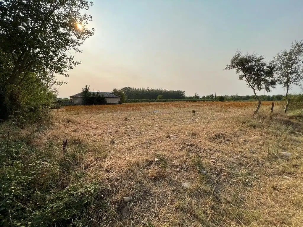 Finca rústica en venta en Ponferrada