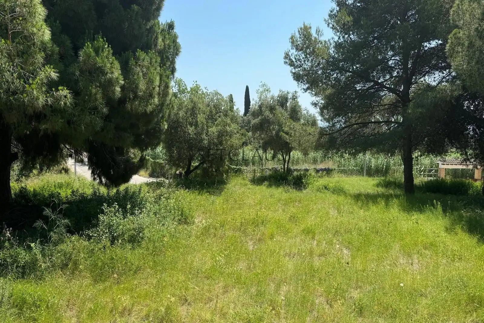 Terreny rústic en venda a Cabrera de Mar, imagen 5