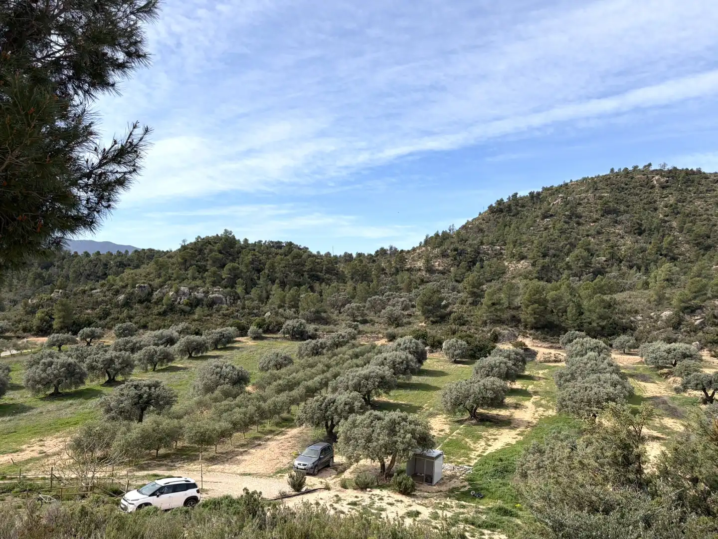 Finca rústica en venta en Flix