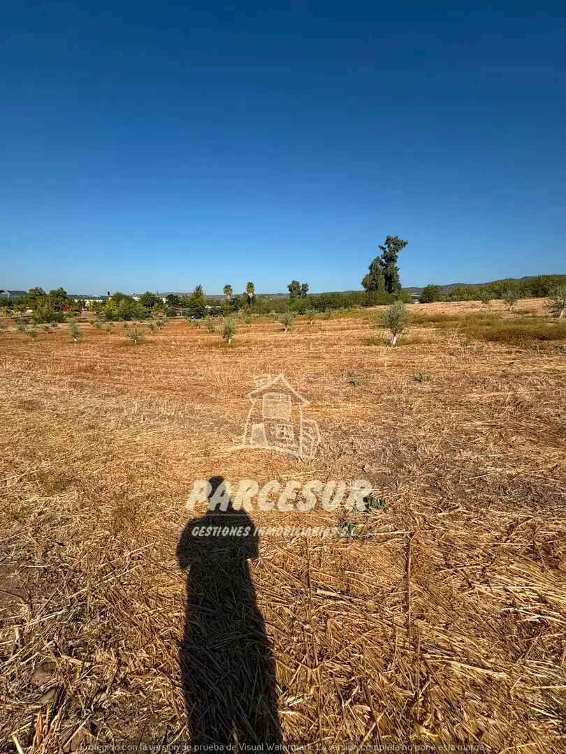 Terreno rustico in vendita a Periurbano Oeste - Sierra, imagen 7