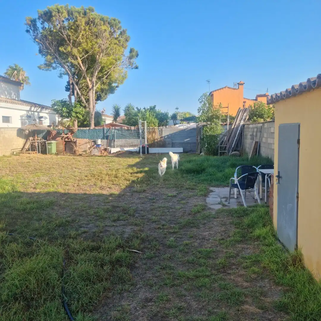 Jardí de Local en venda en Chiclana de la Frontera amb Aire condicionat