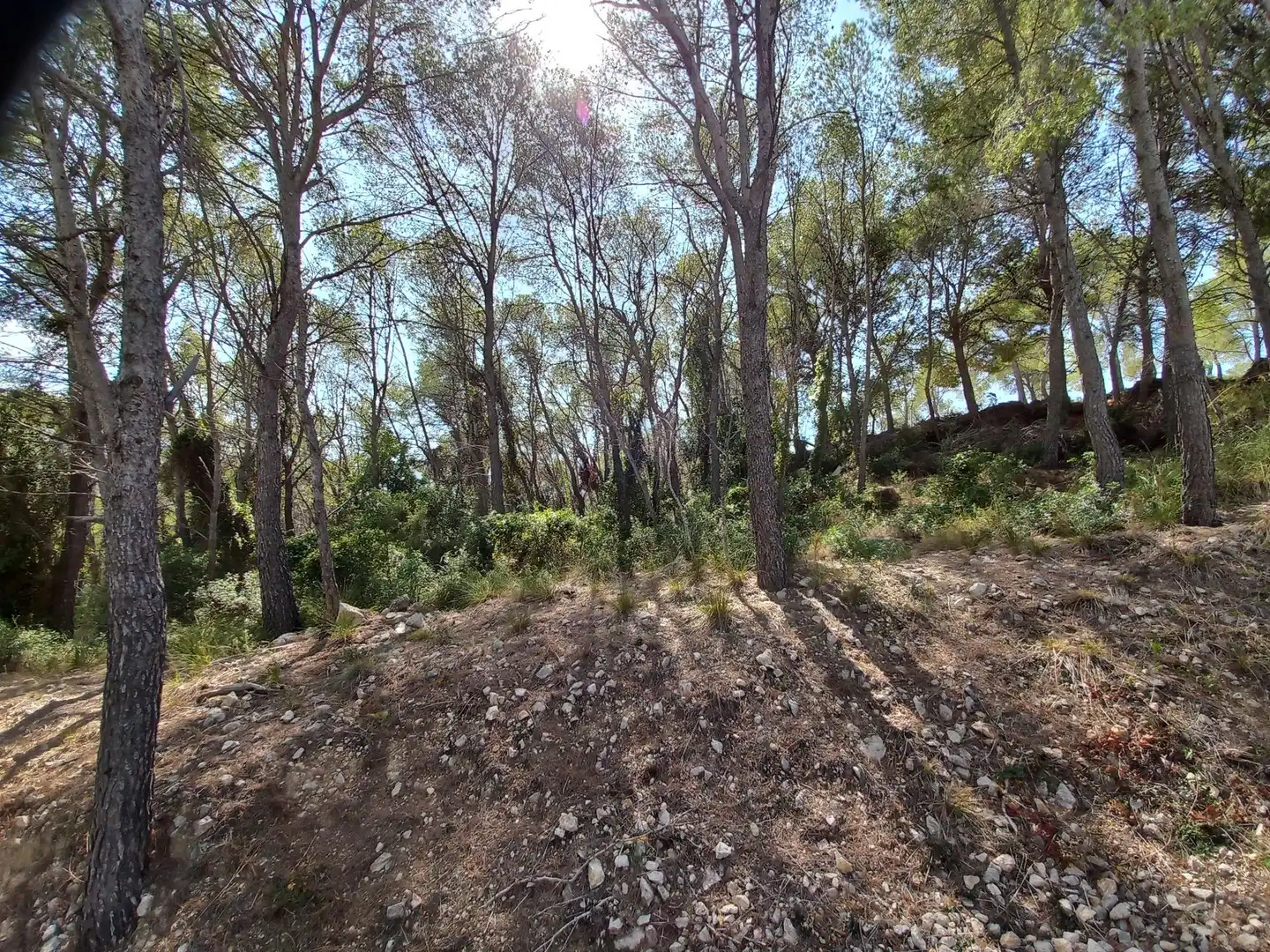 Lands and plots for sale in Carrer MIRANDA, DE LA 38, imagen 8