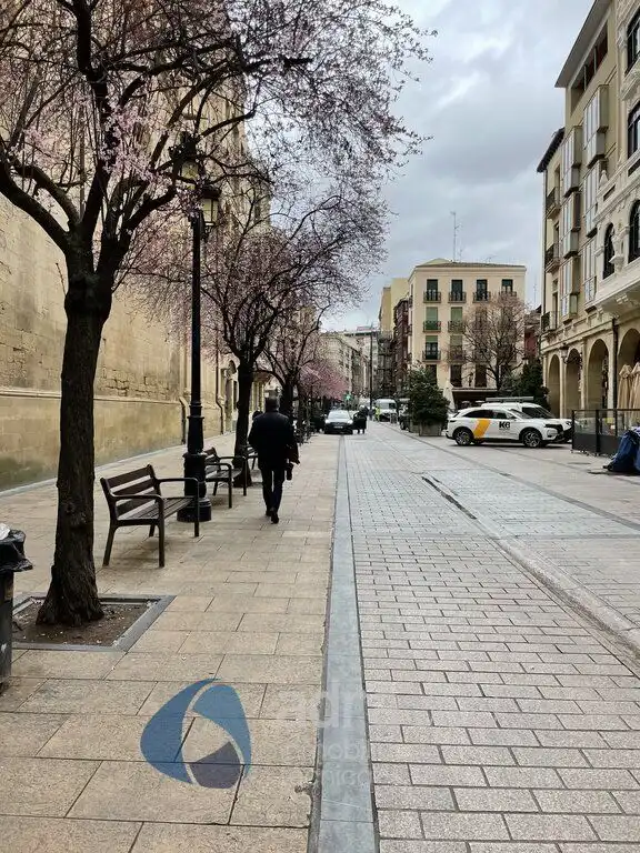 Business premises to rent in Portales, imagen 9