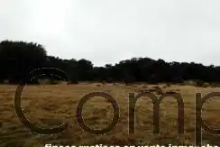 Finca rústica en venta en Cercedilla con Calefacción