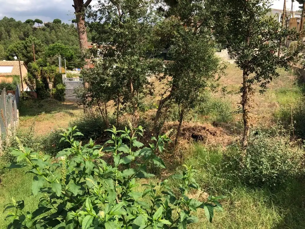 Wohnbaugrundstück zum Verkauf in Mas Mora - Sant Daniel, imagen 4