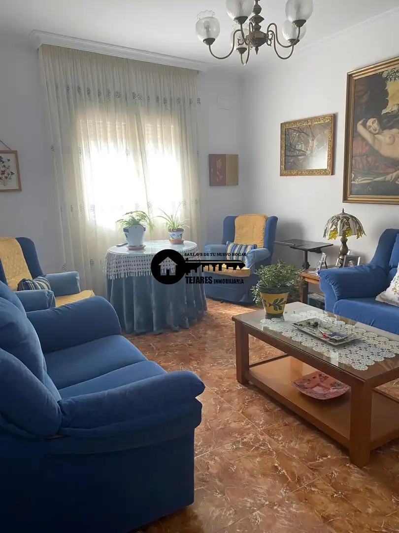 Sala d'estar de Casa o xalet en venda en Pozohondo amb Aire condicionat, Jardí privat i Traster