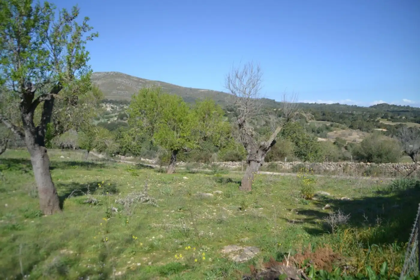 Casa rústica amb jardí en venda a Sant Llorenç des Cardassar, imagen 19