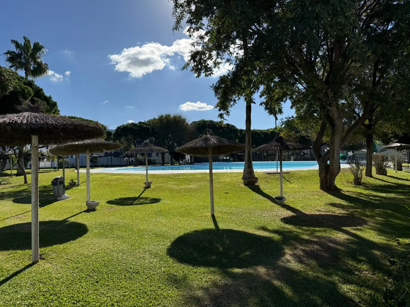 Swimming pool of Apartments for sale in Chiclana de la Frontera  with Terrace, Furnished and Community pool
