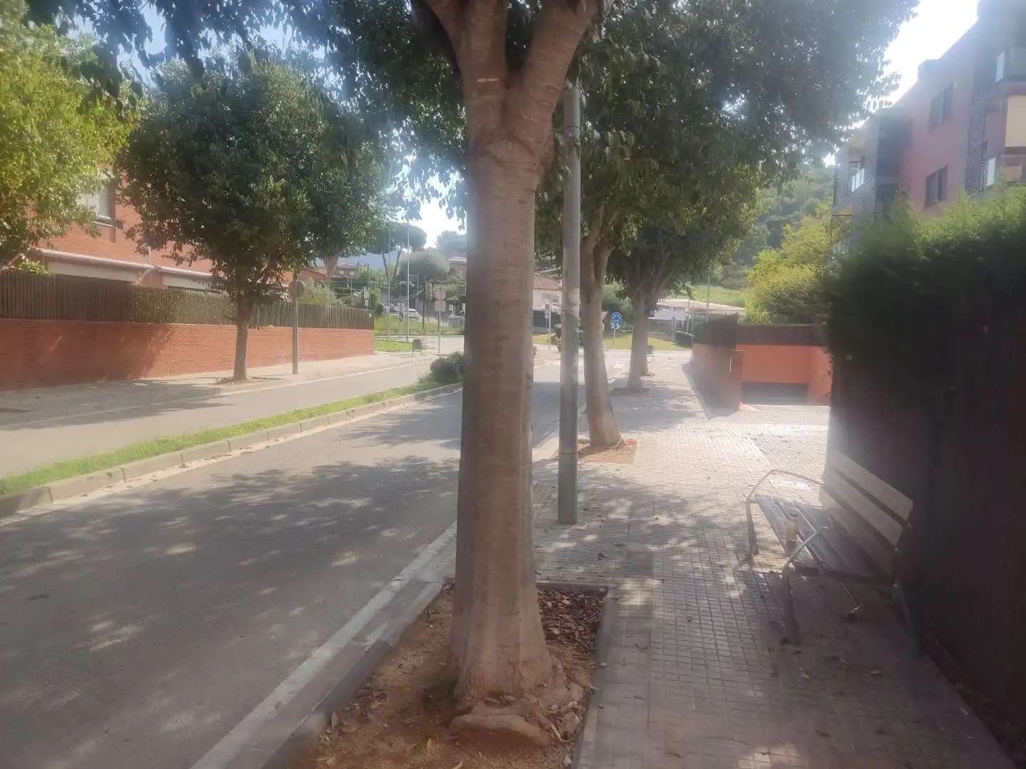 Individuale in affitto a Carrer Sant Jeroni 1, imagen 6