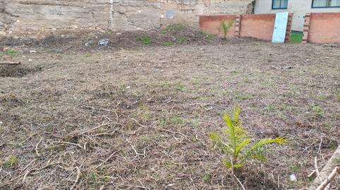 Photo 3 of Land to rent in Les Roquetes, Sant Pere de Ribes